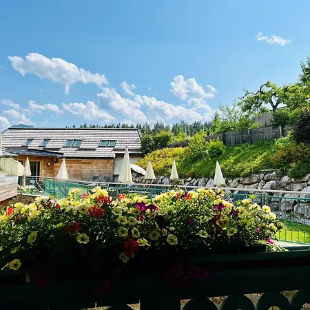 Annelies 4* Ramsau am Dachstein
