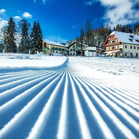 Annelies 4* Ramsau am Dachstein