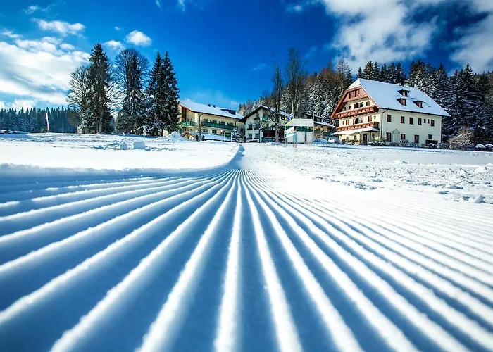 Annelies 4* Рамзау